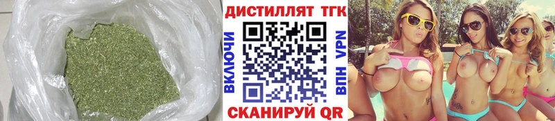 ТГК гашишное масло  KRAKEN   Каргополь 