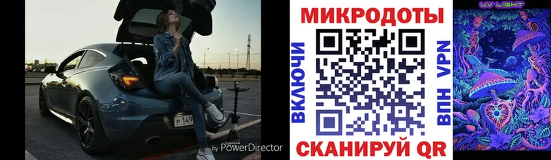 купить  цена  Каргополь  Псилоцибиновые грибы Psilocybine cubensis 